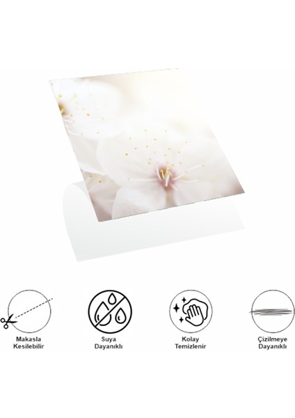 Decohandy 30X30 cm Pvc Duvar Karosu 4'lü Paket - Japon Çiçeği