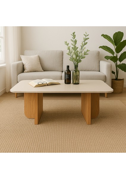 Rustik Modern Orta Sehpa Dekoratif Kolay Kurulum Estetik Küçük Salon Sehpası