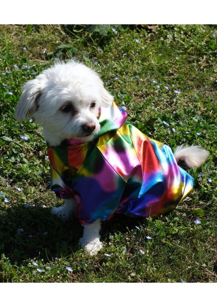Köpek Kıyafeti Kapüşonlu Mont Yağmurluk Gökkuşağı Renkli fırsatları