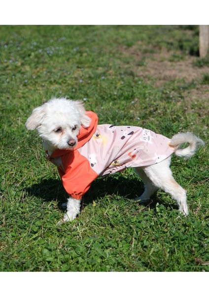 Köpek Kıyafeti Köpek Desenli Pembe-Turuncu Detaylı Kapüşonlu Mont Yağmurluk indirimleri
