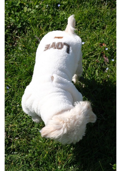 Köpek Kıyafeti Wellsoft Boğazlı Love fırsatları