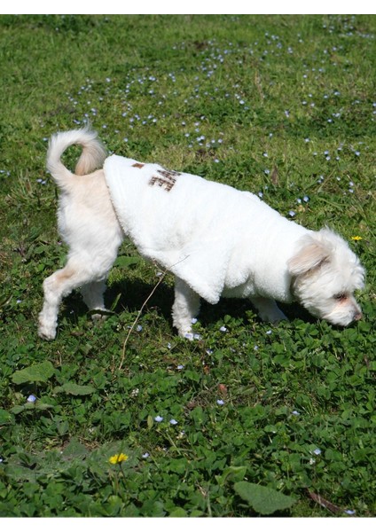 Köpek Kıyafeti Wellsoft Boğazlı Love indirimleri