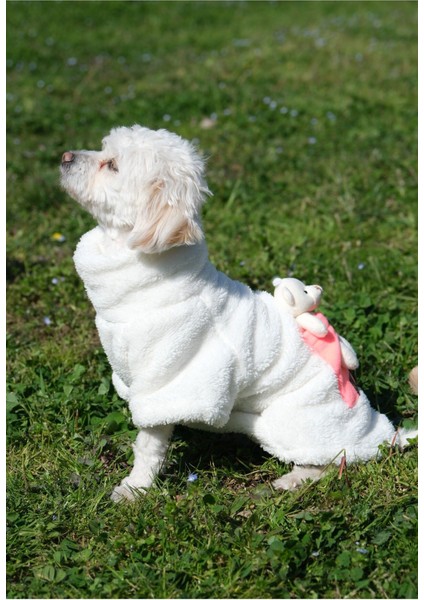 Köpek Kıyafeti Sweat Wellsoft Sweat Boğazlı Ayıcıklı modelleri