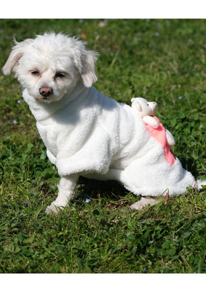 Köpek Kıyafeti Sweat Wellsoft Sweat Boğazlı Ayıcıklı fırsatları