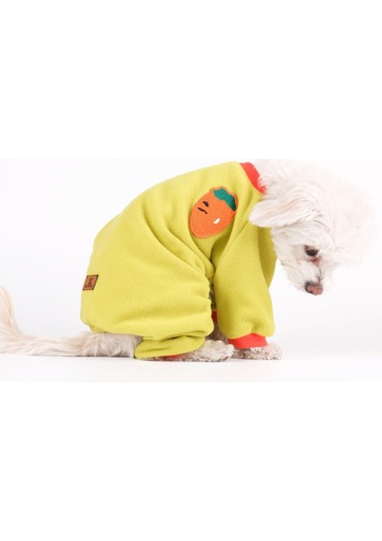 Köpek Kıyafeti Pet Shop Polar Tulum Benetton Fıstık Turuncu Ribanalı fırsatları