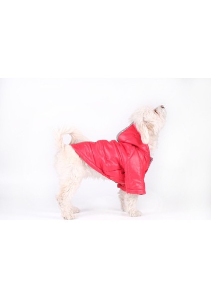 Köpek Kıyafeti Kırmızı Micro Kapüşonlu Reflektörlü Mont Yağmurluk