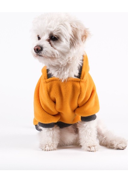 Köpek Kıyafeti Polar Kapşüonlu Sarı Sweat Ribanalı modelleri