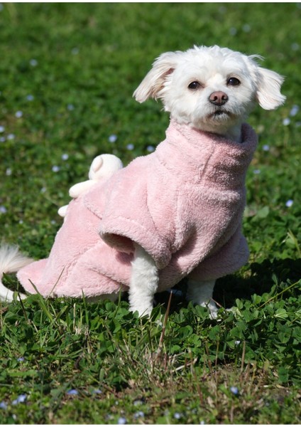 Köpek Kıyafeti Sweat Boğazlı Wellsoft Ayıcık Detaylı fırsatları