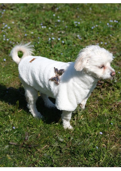 Köpek Kıyafeti Wellsoft Sweat Boğazlı Butterfly indirimleri