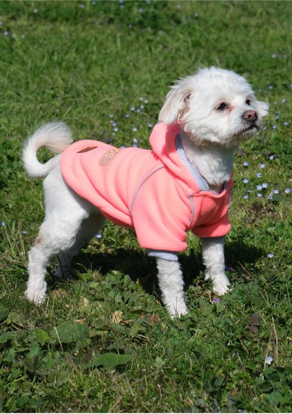 Köpek Kıyafeti Polar Swaet Kapüşonlu Neon Pembe fırsatları