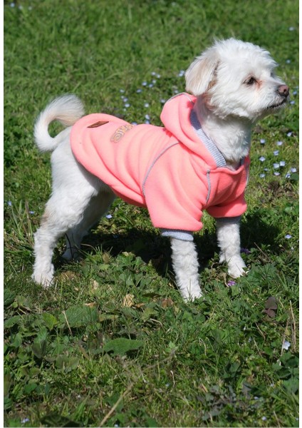 Köpek Kıyafeti Polar Swaet Kapüşonlu Neon Pembe indirimleri