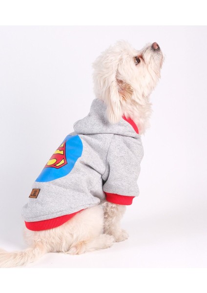 Köpek Kıyafeti 3 Iplik Süpermen Kapüşonlu Sweat Kırmızı Ribanalı modelleri