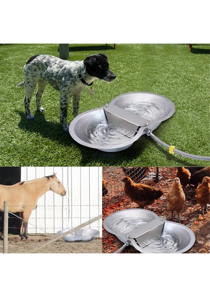 2 Galon Büyük Otomatik Köpek Su Sebili Şamandıra Vana Kitleri Hayvanlar Sulama Teknesi Paslanmaz Çelik Kase (Yurt Dışından) fiyatları