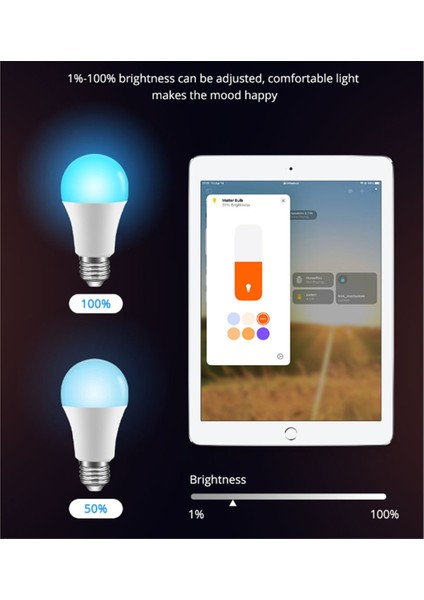 Akıllı Ampuller Wifi LED Ampul 9W Rgb Ses Kontrolü Alexa Home Için Çalışır (Yurt Dışından)