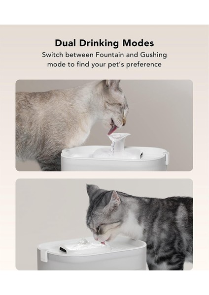 8 Paket Dockstream Kedi Su Çeşmesi Için Yedek Filtreler PLWF005 PLWF115, Ultra Sessiz Evcil Hayvan (Yurt Dışından)