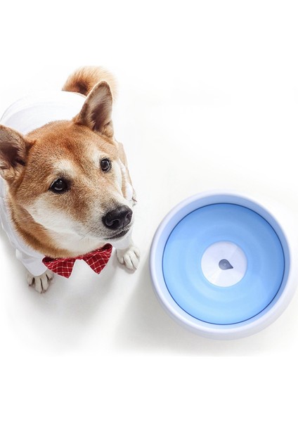 Köpekler Için Dökülmeyen Su Kabı Yavaş Besleme Kabı Evcil Hayvan Içme Kabı (Yurt Dışından) indirimleri