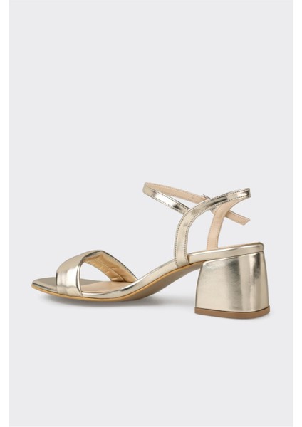 Gold Kadın Günlük Sandalet modelleri