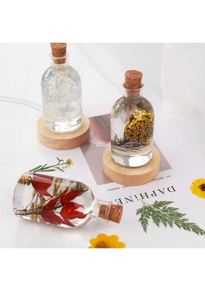 Abajur Kalıbı, Ahşap Işık Tabanı ve Çiçek Numune Dekoru Dökümü Için Tıpalı Şişe Şeklinde Silikon Kalıp (Yurt Dışından) indirimleri