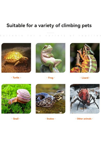 Ab Fişi, 50W Halojen Ampul Dahil Sürüngen Isıtma Lambası Akvaryum Tankı Isıtma Lambaları Kaplumbağa Kertenkele Yılan Teraryum Için (Yurt Dışından) fırsatları