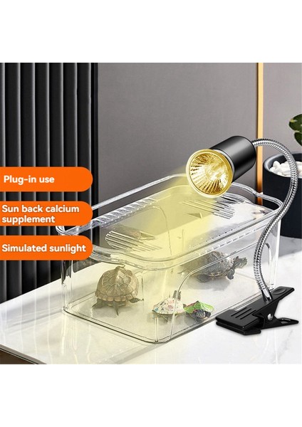 Ab Fişi, 50W Halojen Ampul Dahil Sürüngen Isıtma Lambası Akvaryum Tankı Isıtma Lambaları Kaplumbağa Kertenkele Yılan Teraryum Için (Yurt Dışından) indirimleri