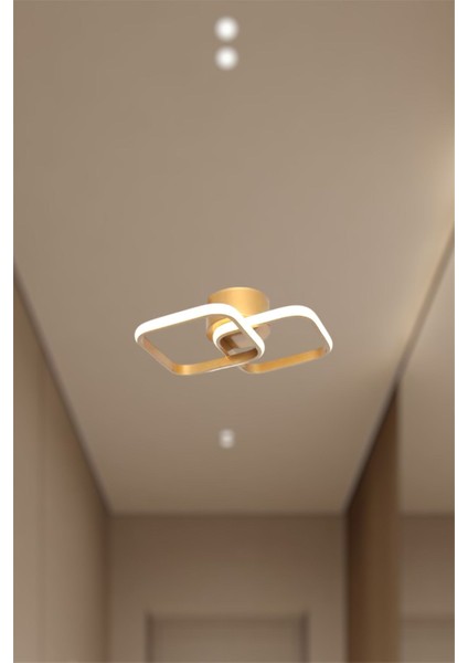 Modern Eskitme Gold Ikili Kare Tek Renk (Beyaz&sarı&günışığı) LED Avize