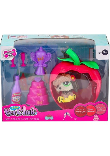 KZL-CL2103 1-4 Elmalı Pet Star Oyun Seti -Kızılkaya Oyuncak