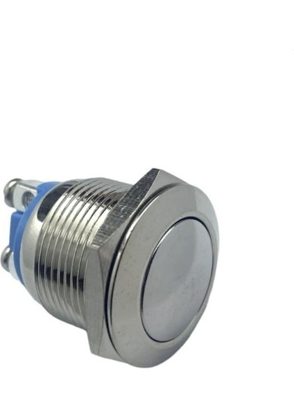 Metal Buton (Vidalı) (19 Mm) Krom Bombeli Tip