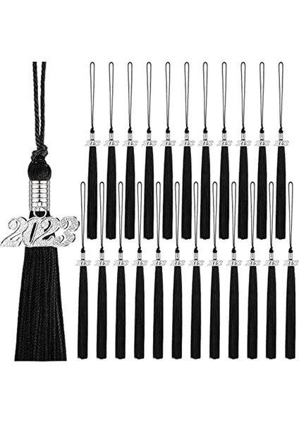 36 Adet Mezuniyet PÜSKÜLLERI-2023 Gümüş Takılar Mezuniyet Kepi Dekorasyonu (Yurt Dışından)