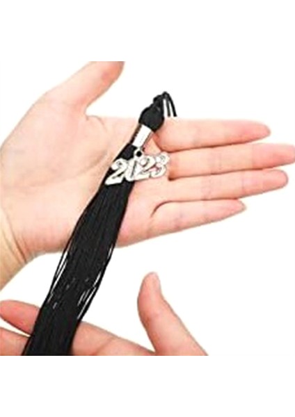 36 Adet Mezuniyet PÜSKÜLLERI-2023 Gümüş Takılar Mezuniyet Kepi Dekorasyonu (Yurt Dışından) fiyatları