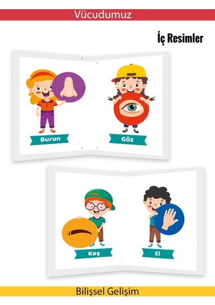 Mini Kitaplar Serisi Vucudumuz fiyatları