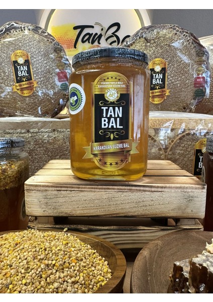Organik Karakovan Süzme Bal Üreticisinden Net 1kg