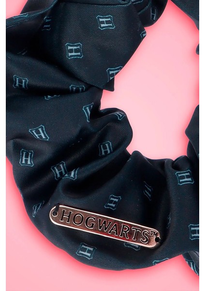 Harry Potter Lisanslı Metal Detaylı Saç Tokası (Hogwarts) modelleri