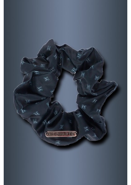 Harry Potter Lisanslı Metal Detaylı Saç Tokası (Hogwarts) fırsatları