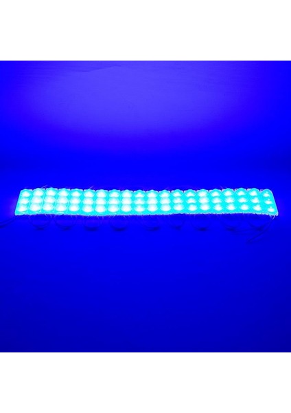 12V Parmak Lamba 3-Ledli Kablolu Mavi