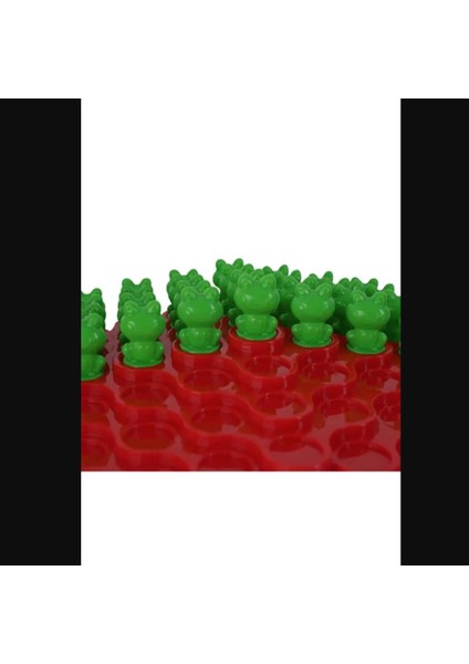 Frog Kurbağa Denge Oyunu