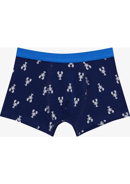 Erkek Çocuk Mediterranean Çok Renkli 2’li Paket Boxer