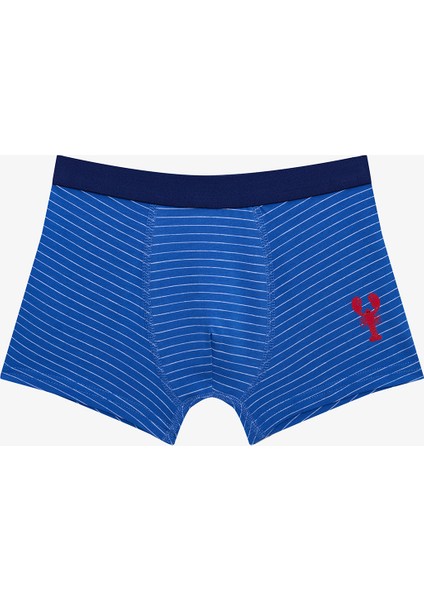 Erkek Çocuk Mediterranean Çok Renkli 2’li Paket Boxer