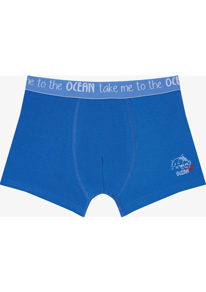 Erkek Çocuk Balon Balığı Baskılı 2'li Pamuklu Boxer fiyatları