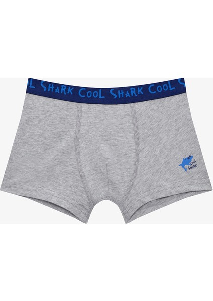 Cool Erkek Çocuk Köpekbalığı Baskılı Pamuklu 2'li Boxer fiyatları
