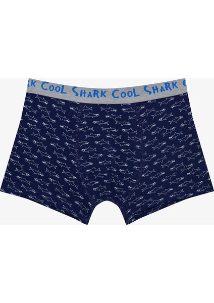 Cool Erkek Çocuk Köpekbalığı Baskılı Pamuklu 2'li Boxer modelleri