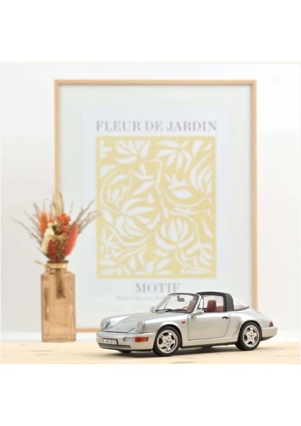 Porsche 911 Carrera 4 Targa 1991 Polar Silver Metallic