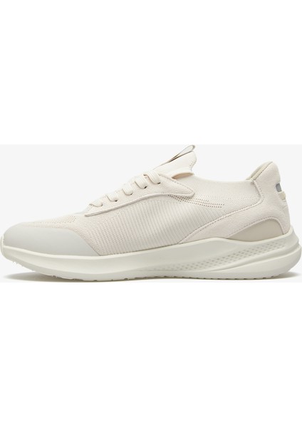 Erkek Bej Sneaker NT507T.1AS modelleri