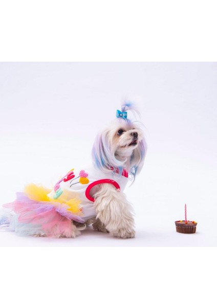 Happy Birthday Tütülü Kedi ve Küçük Irk Köpek Elbisesi