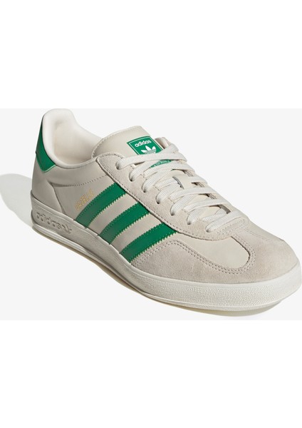 Gazelle Indoor.-