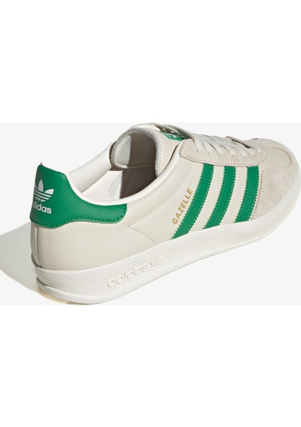 Gazelle Indoor.-