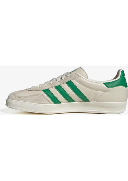 Gazelle Indoor.-