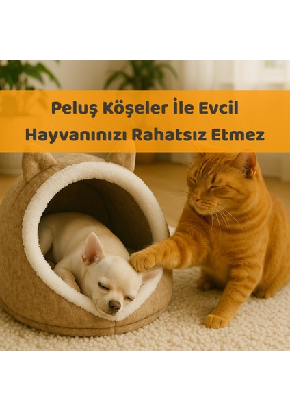 Kedi Evi Köpek Evi Evcil Hayvan Yatağı 40X35X34 cm Katlanabilir Keçe Yuva Krem modelleri