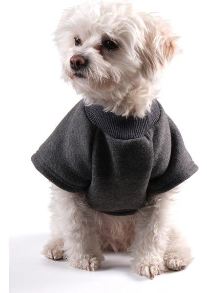 Köpek Kıyafeti Sweat Shırt Gri Ribanalı fırsatları
