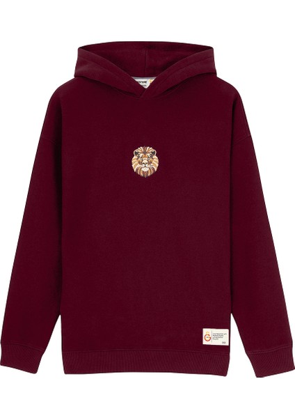 Gsstore x Reflect Studio Aslan Hoodie E242400