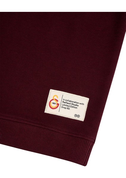 Gsstore x Reflect Studio Aslan Hoodie E242400 modelleri